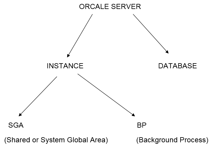 Oracle : Oracle Server Architecture