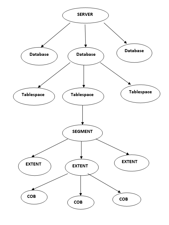 Oracle : Storage Management