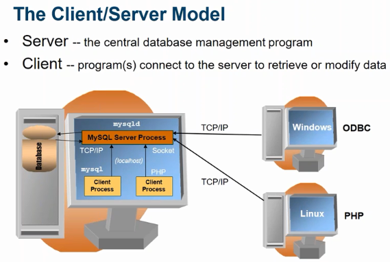 mysql web client